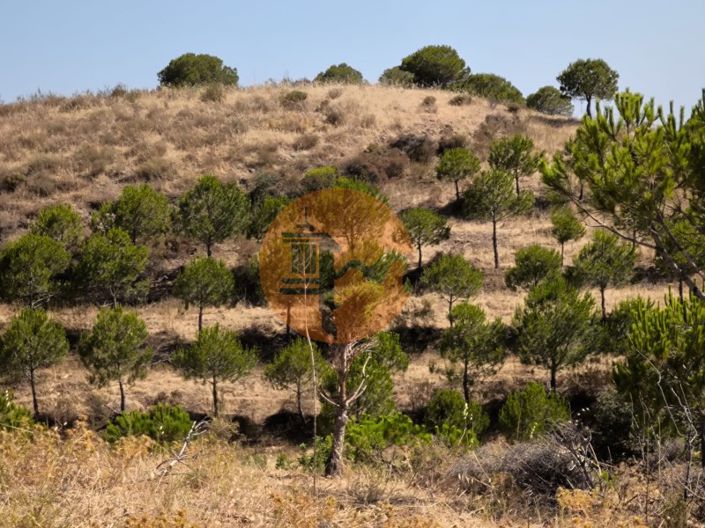 Image No.24-Plot for sale