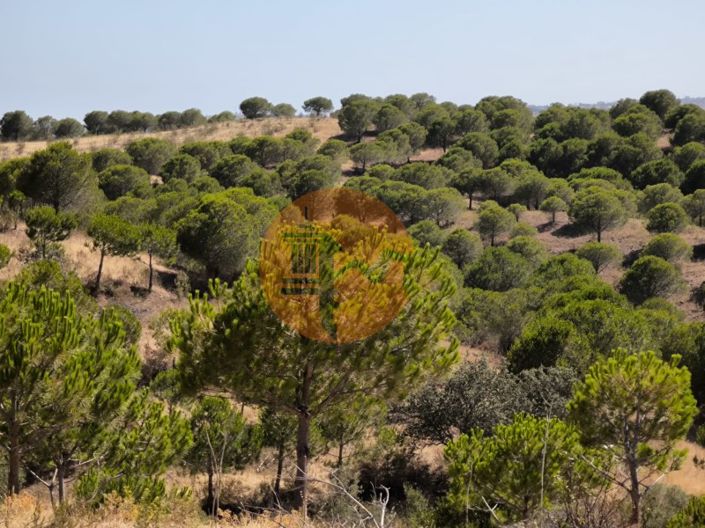 Image No.25-Plot for sale