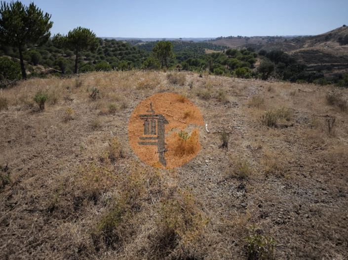 Image No.29-Plot for sale