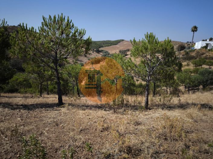 Image No.30-Plot for sale