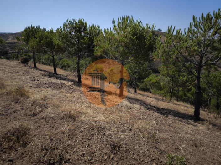 Image No.31-Plot for sale