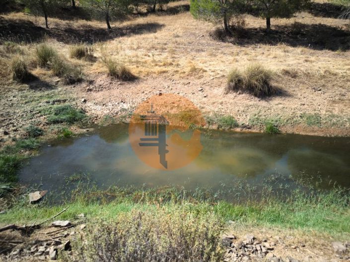 Image No.4-Plot for sale