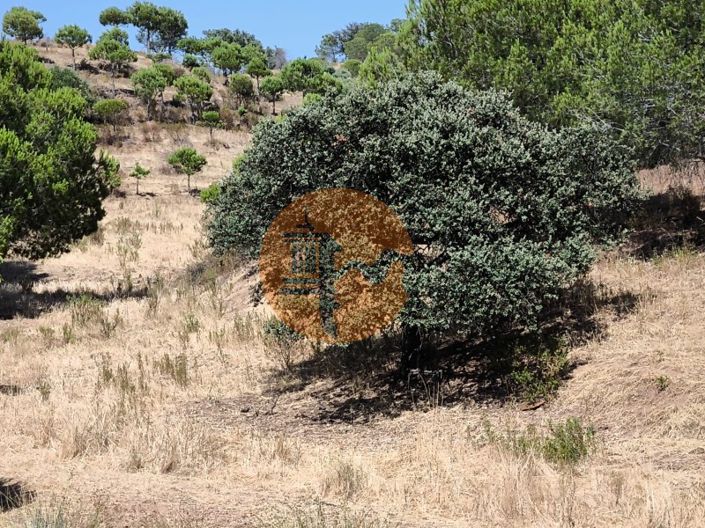 Image No.5-Terrain à vendre à Castro Marim