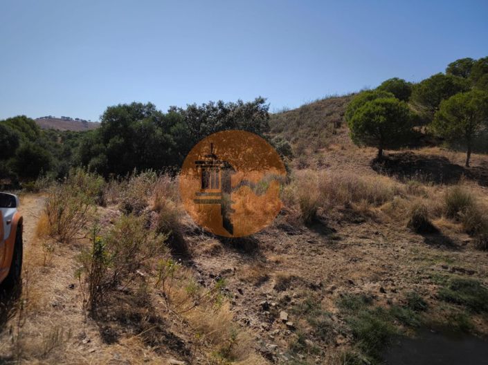 Image No.8-Plot for sale