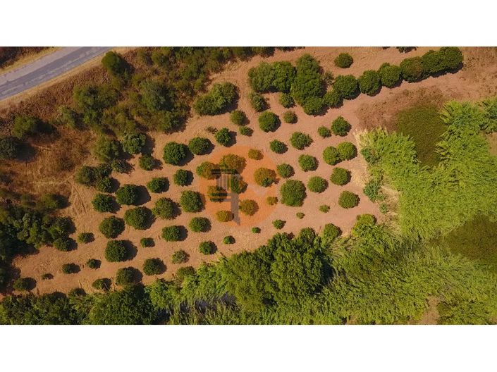 Image No.41-Plot for sale