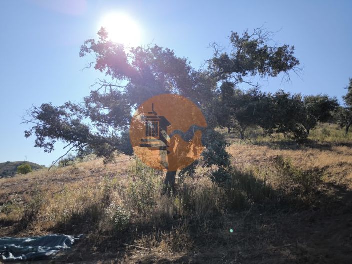 Image No.11-Terrain à vendre à Castro Marim