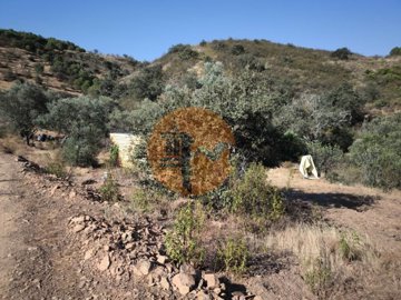 idf6f7a201-0000-0500-0000-000016955694