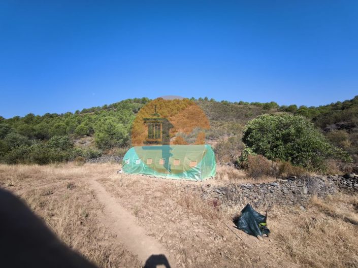 Image No.33-Plot for sale