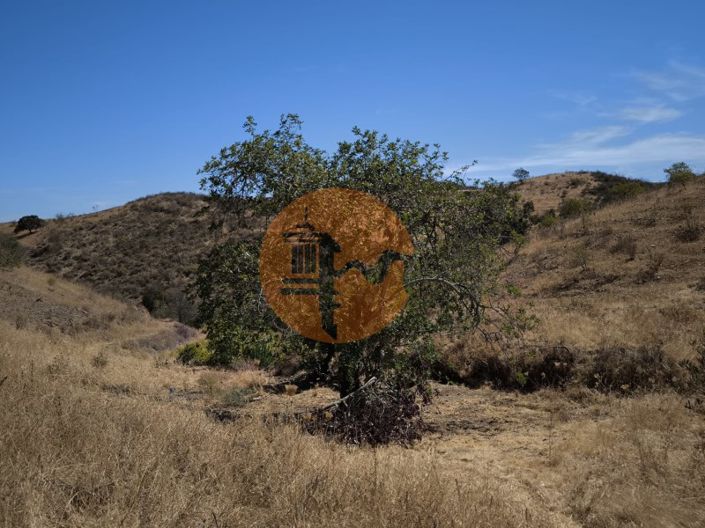 Image No.24-Plot for sale