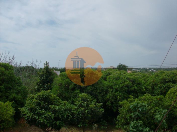 Image No.2-Plot for sale