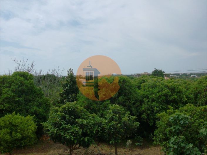 Image No.3-Plot for sale