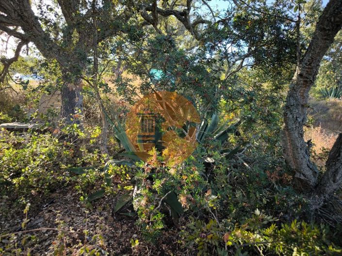 Image No.19-Plot for sale