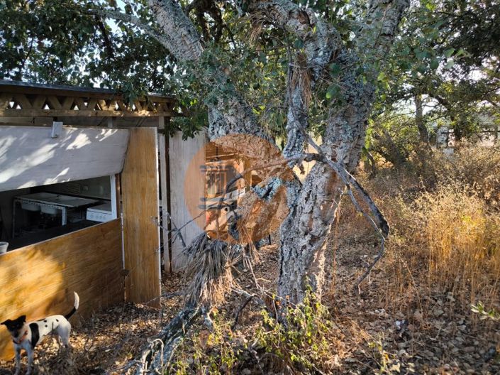 Image No.22-Plot for sale