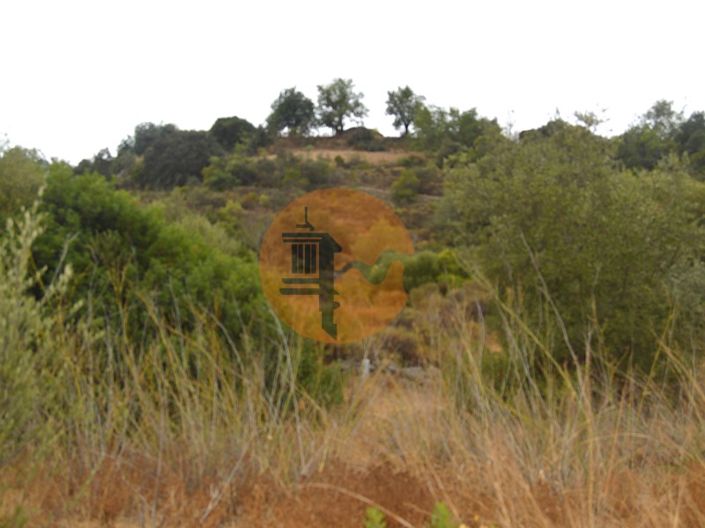 Image No.3-Terrain à vendre à Tavira