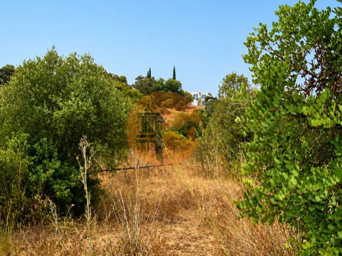 Image No.3-Plot for sale