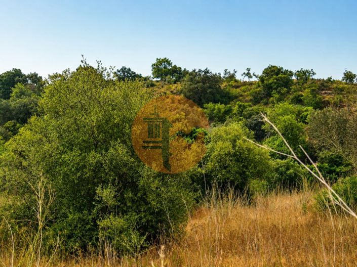 Image No.4-Plot for sale
