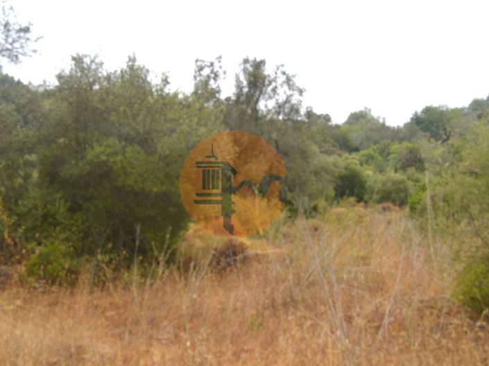 Image No.5-Terrain à vendre à Tavira