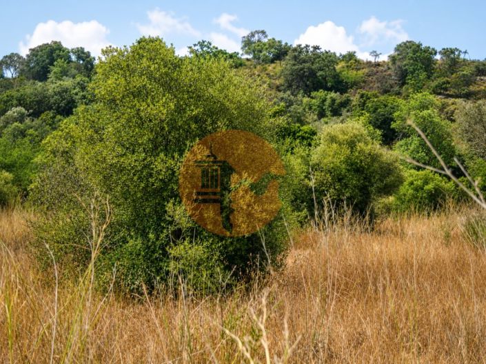 Image No.5-Plot for sale
