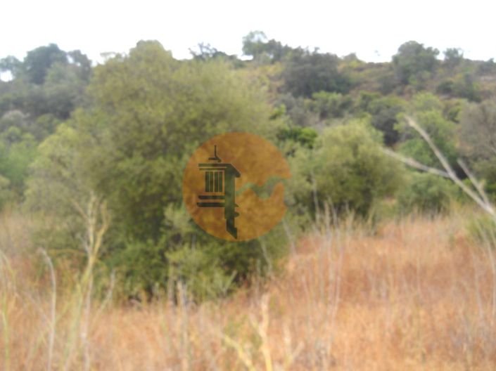 Image No.8-Terrain à vendre à Tavira