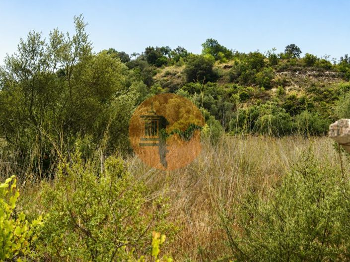 Image No.8-Plot for sale