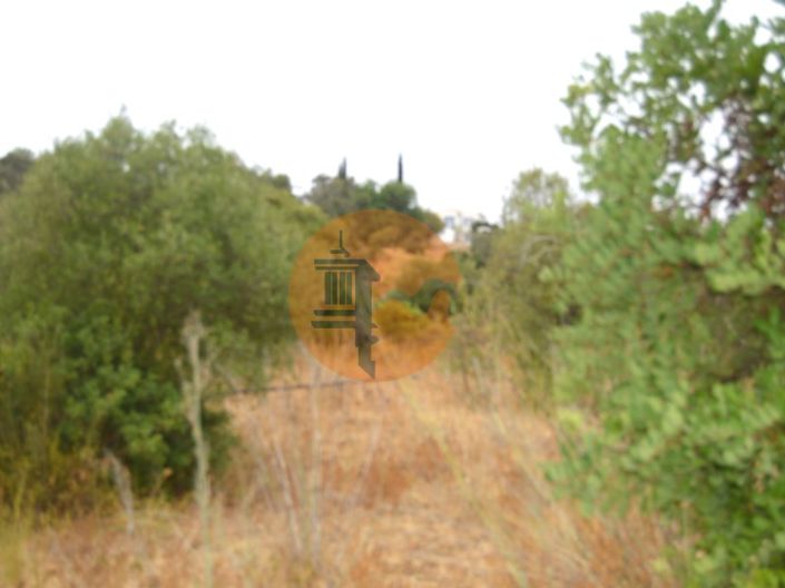 Image No.9-Terrain à vendre à Tavira