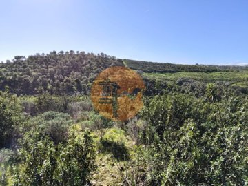 id6150b201-0000-0500-0000-0000175f0f0d