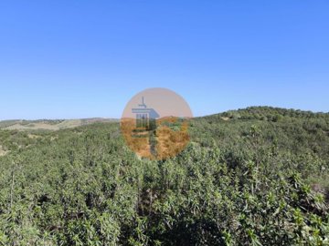 id6150b201-0000-0500-0000-0000175f0f0f