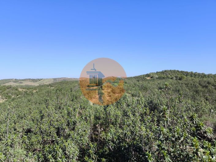 Image No.12-Terrain à vendre à Castro Marim