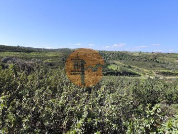 id6150b201-0000-0500-0000-0000175f0f10