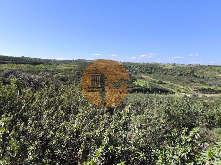 Image No.13-Plot for sale