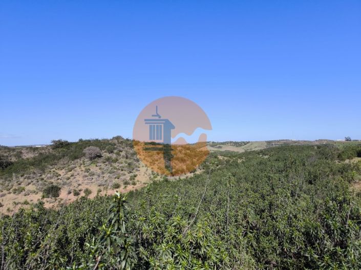 Image No.14-Plot for sale