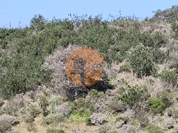 id6150b201-0000-0500-0000-0000175f0f12