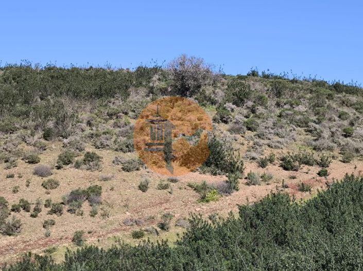 Image No.17-Plot for sale
