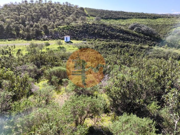 Image No.4-Plot for sale