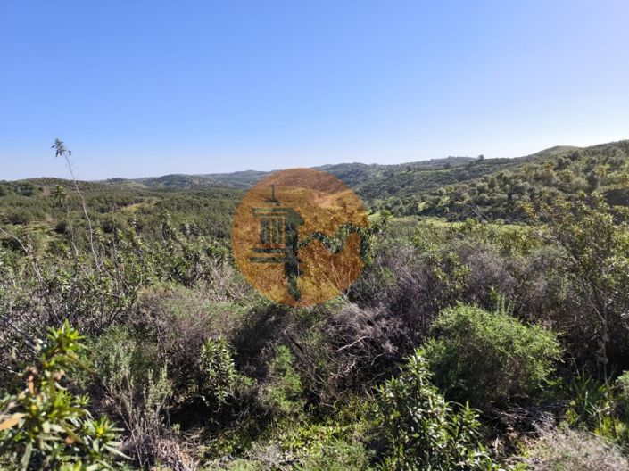 Image No.5-Plot for sale