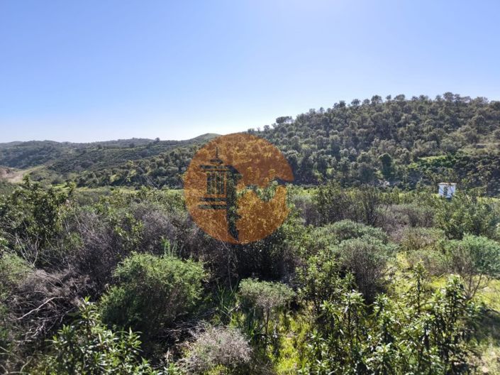 Image No.7-Plot for sale