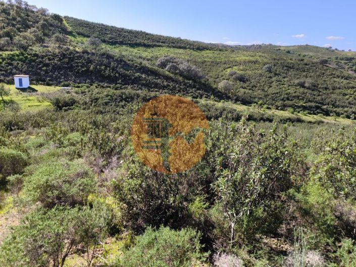 Image No.9-Plot for sale