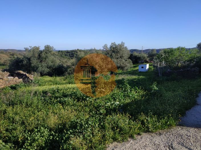 Image No.60-5 Bed House for sale