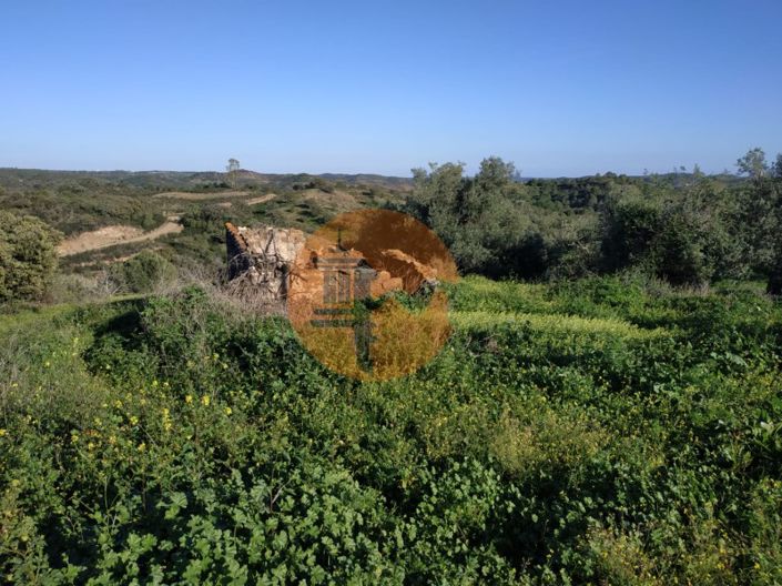 Image No.62-5 Bed House for sale