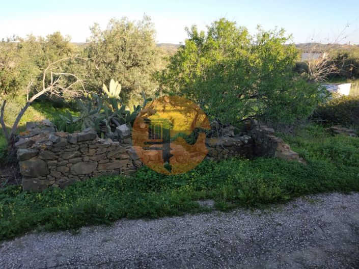 Image No.63-5 Bed House for sale