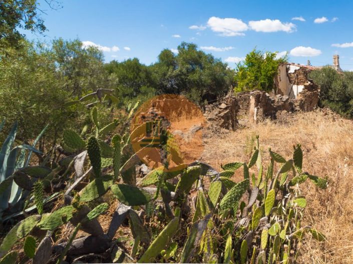 Image No.23-2 Bed House for sale