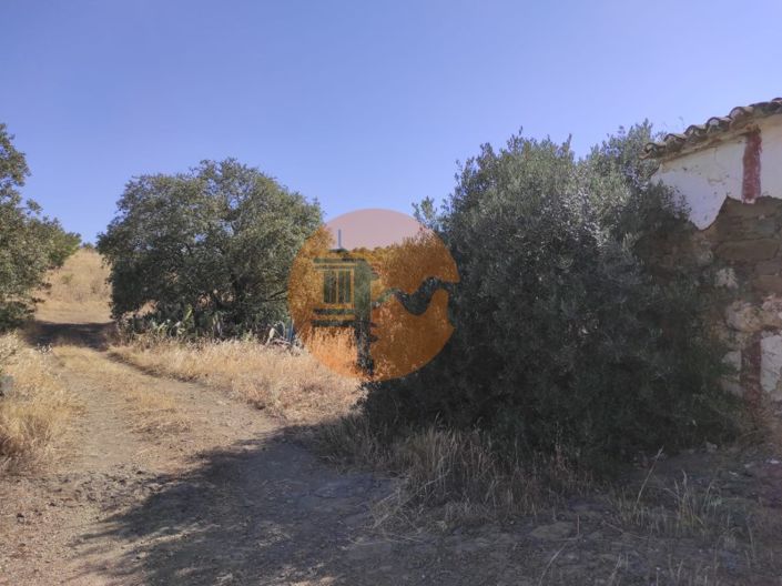 Image No.33-2 Bed House for sale