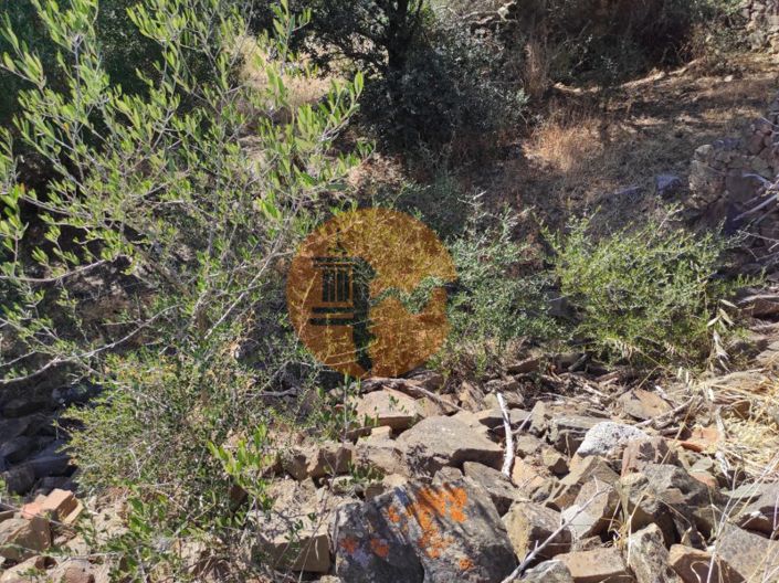 Image No.43-2 Bed House for sale