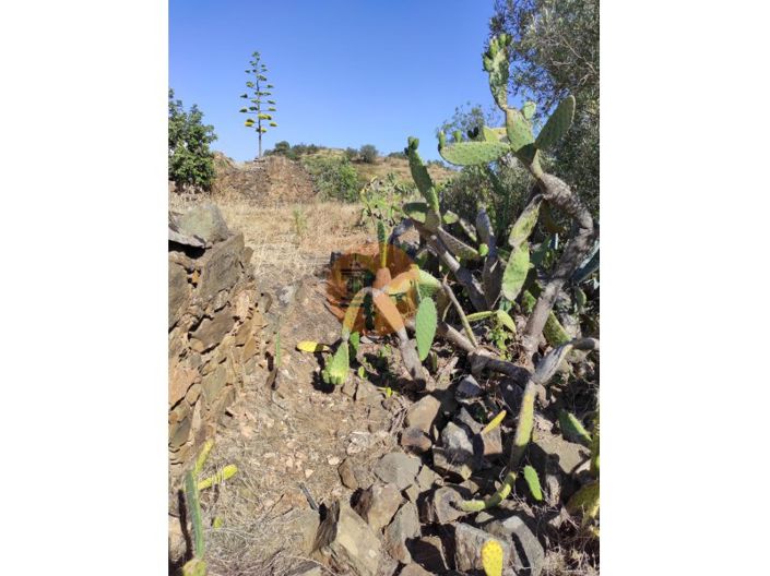 Image No.45-2 Bed House for sale