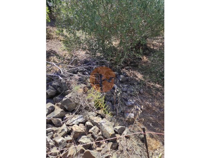 Image No.49-2 Bed House for sale