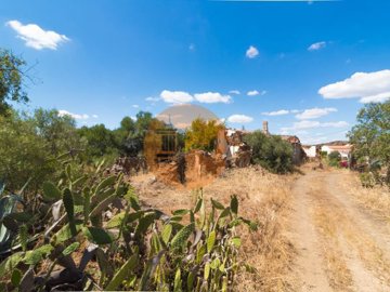 id3227b501-0000-0500-0000-0000179350d8