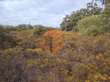 id4a72b301-0000-0500-0000-00001770d5cd