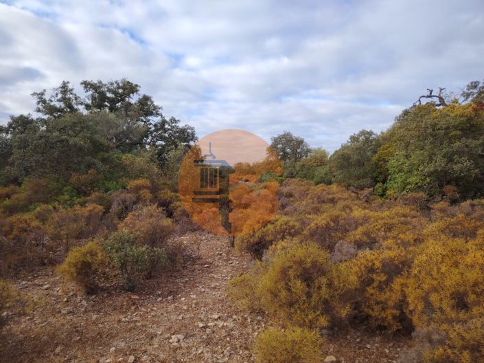 Image No.12-Plot for sale