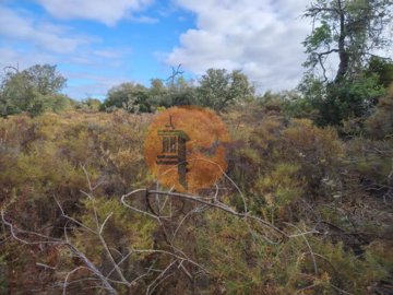 id4a72b301-0000-0500-0000-00001770d5d0