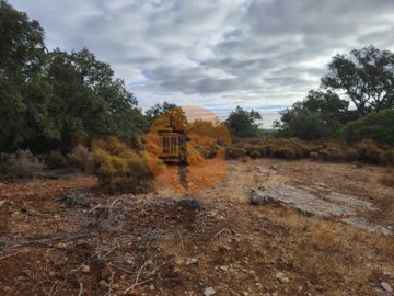 id4a72b301-0000-0500-0000-00001770d5d1